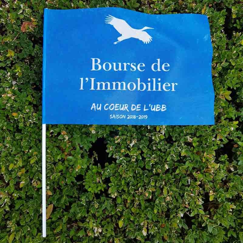 Drapeaux avec manche publicitaire