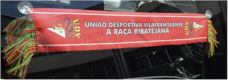 Mini Echarpes de voiture publicitaire