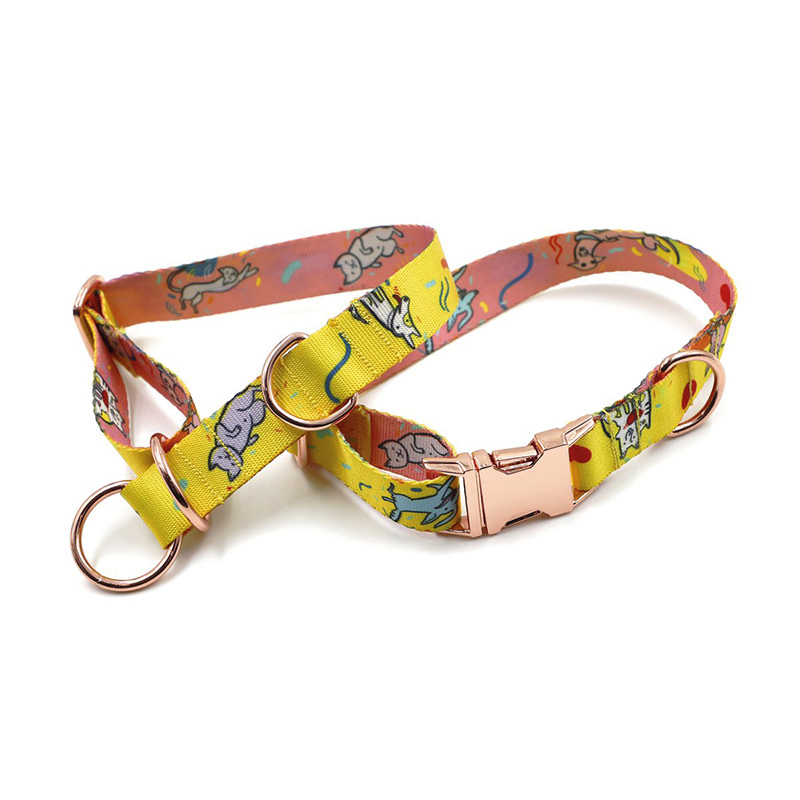 Collier pour chien – avec impression