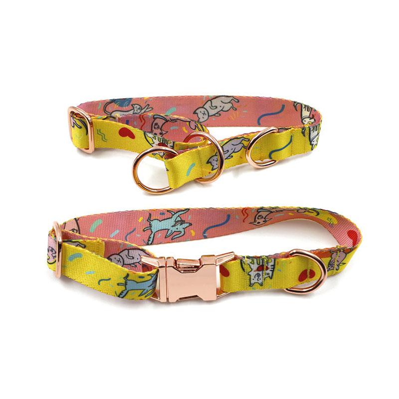 Collier pour chien – avec impression