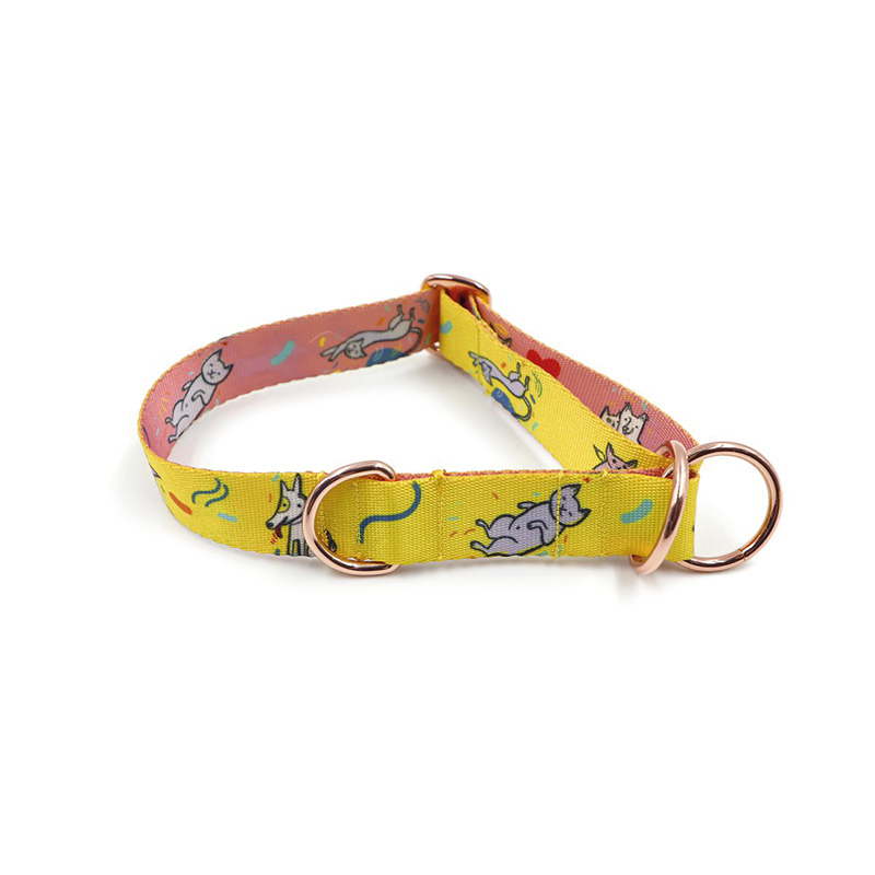 Collier pour chien – avec impression