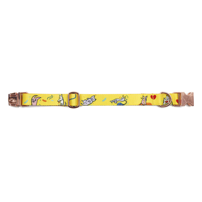 Collier pour chien – avec impression