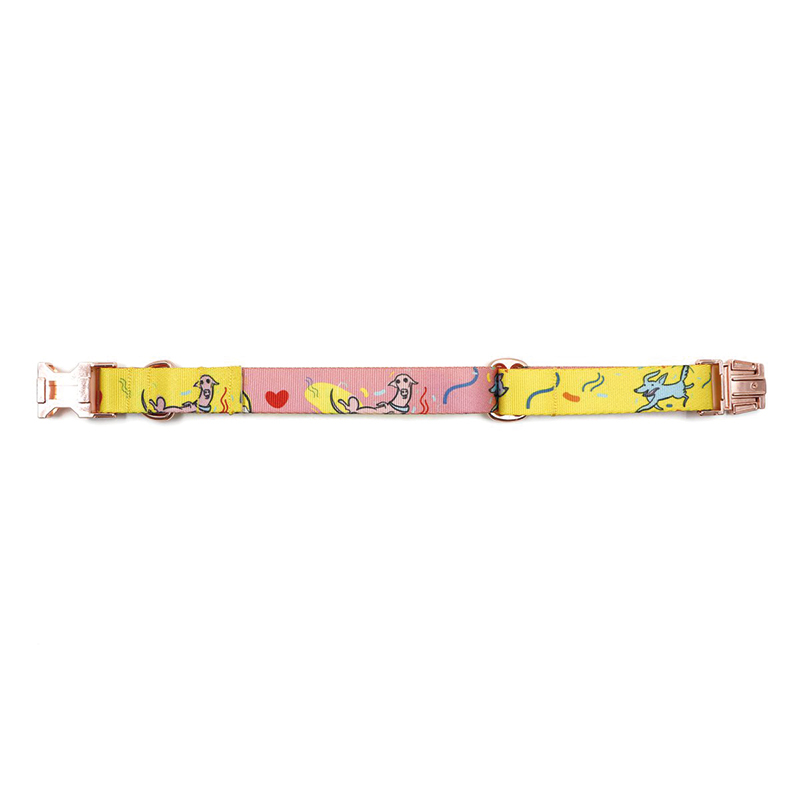 Collier pour chien – avec impression