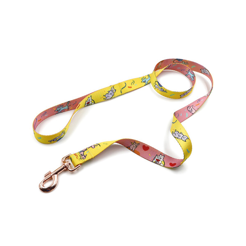 Laisses pour chiens – avec impression