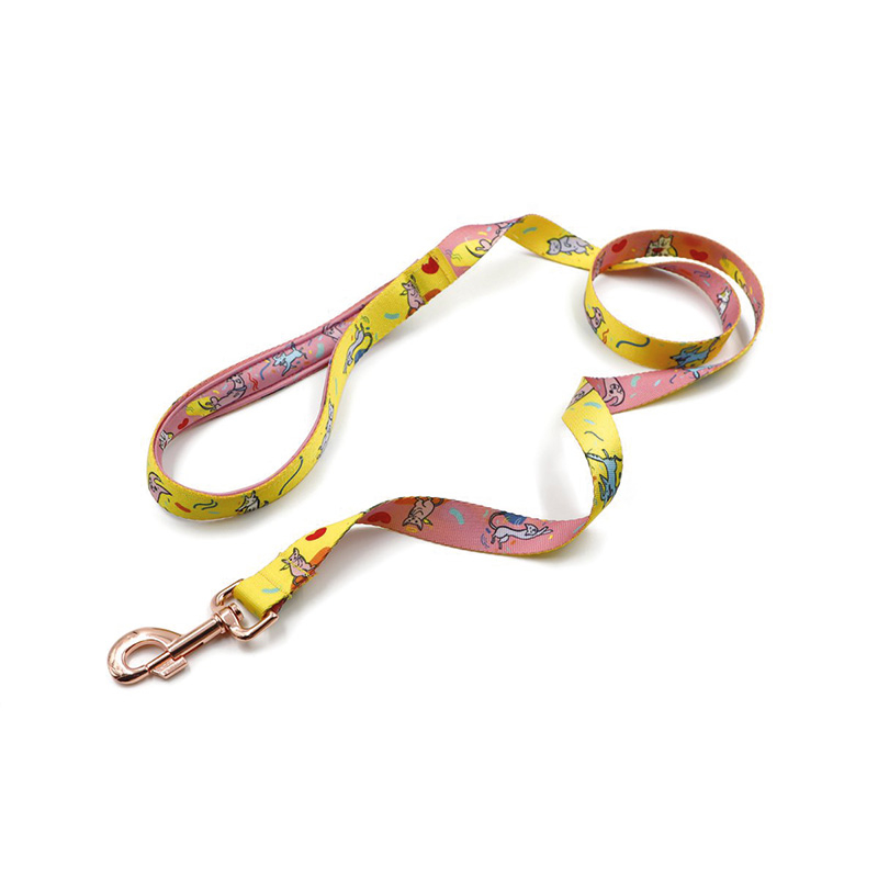 Laisses pour chiens – avec impression