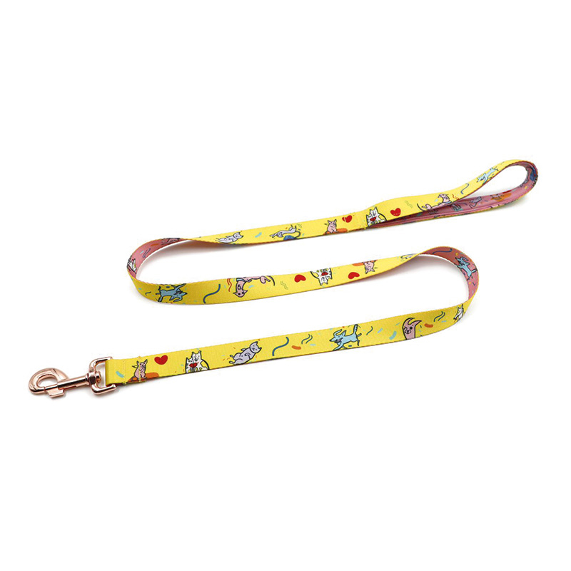 Laisses pour chiens – avec impression