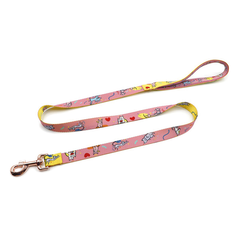 Laisses pour chiens – avec impression